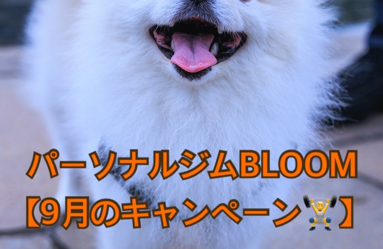 【9月のキャンペーン情報‼︎】仙台のパーソナルジムならBLOOM